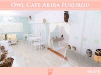 猫头鹰咖啡馆 东京