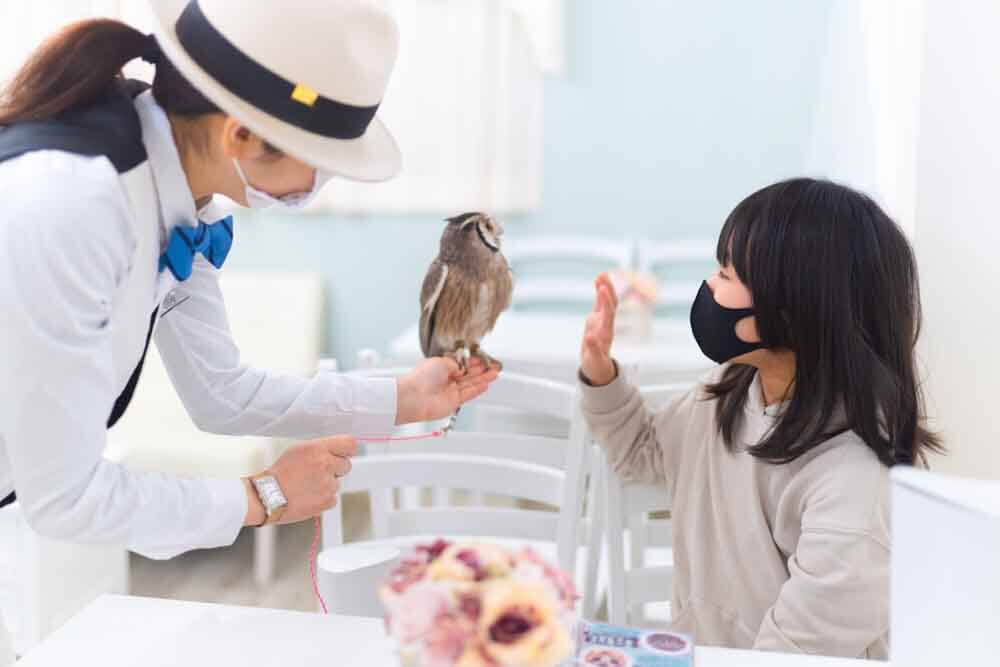 フクロウと子供