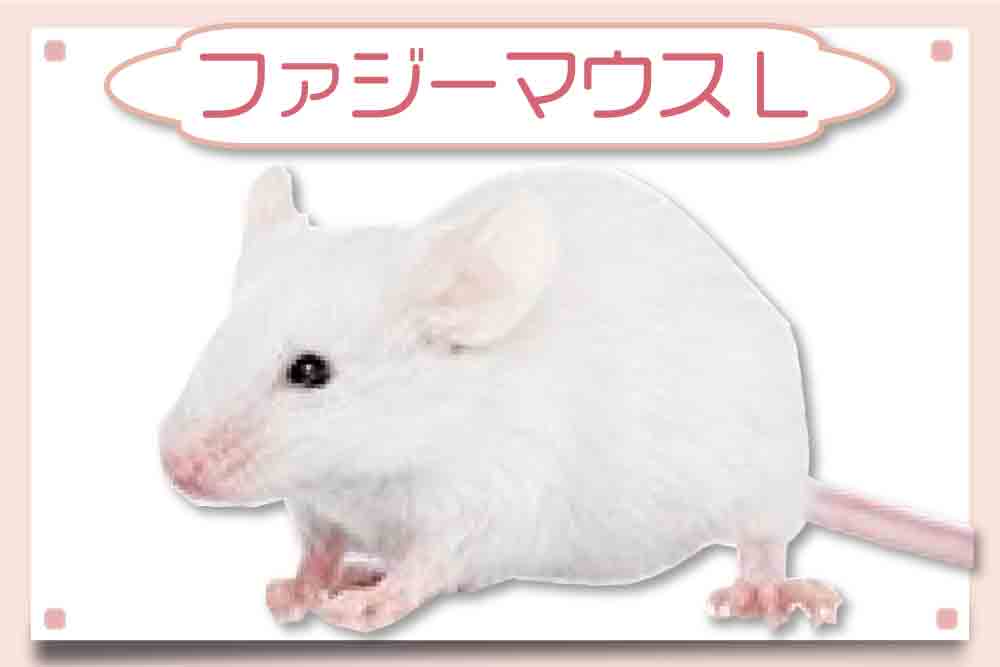 ファジーマウスL｜冷凍マウス
