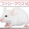 ファジーマウスM｜冷凍マウス