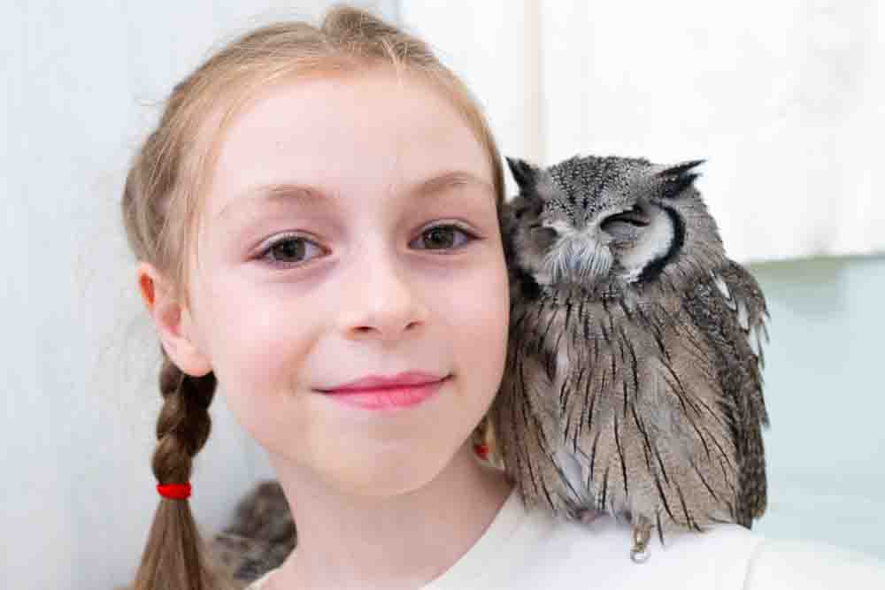 フクロウカフェ東京