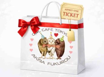 owl cafe ticket