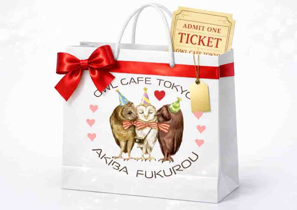 owl cafe ticket