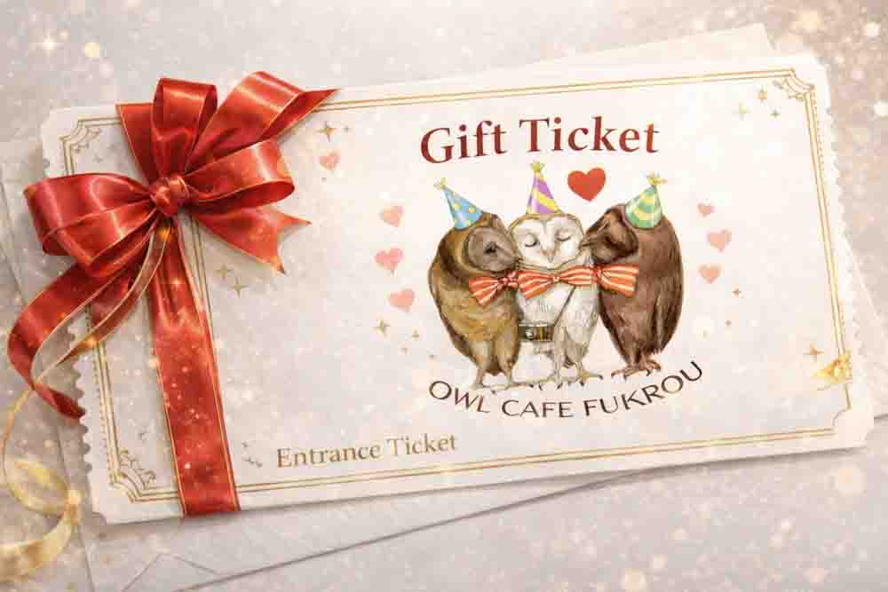 owl cafe ticket