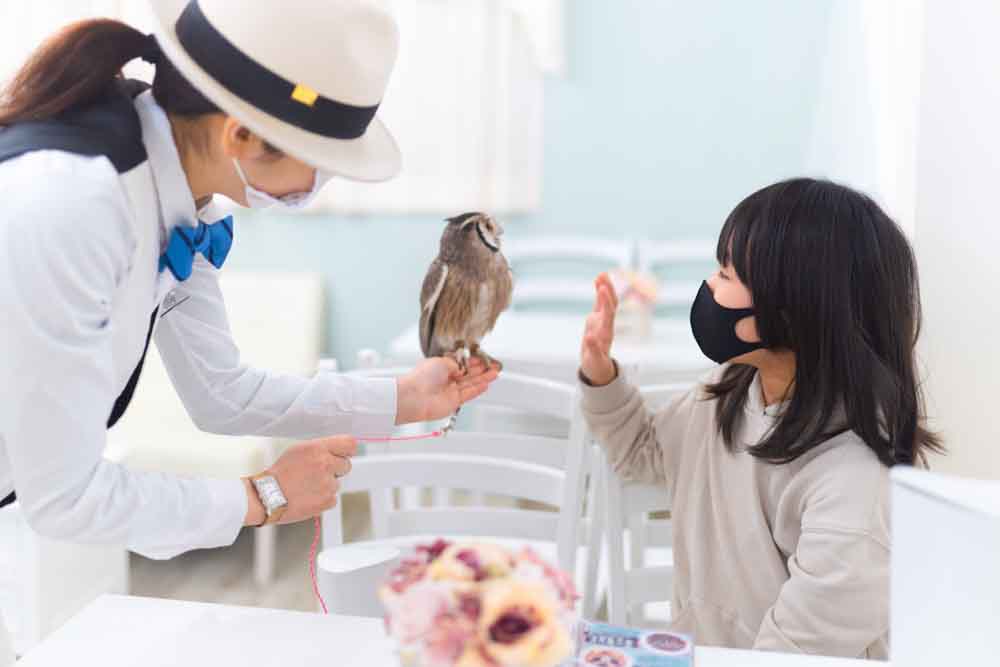 owlcafejapan