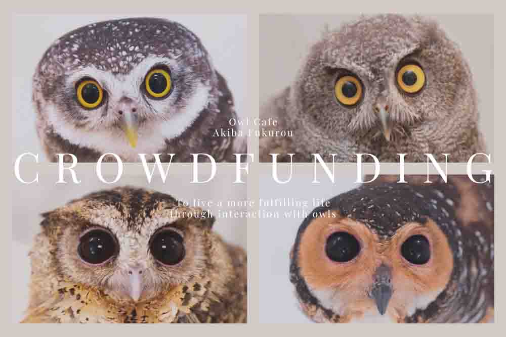 owlcafe-tokyo