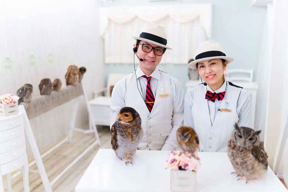 owlcafe-japan