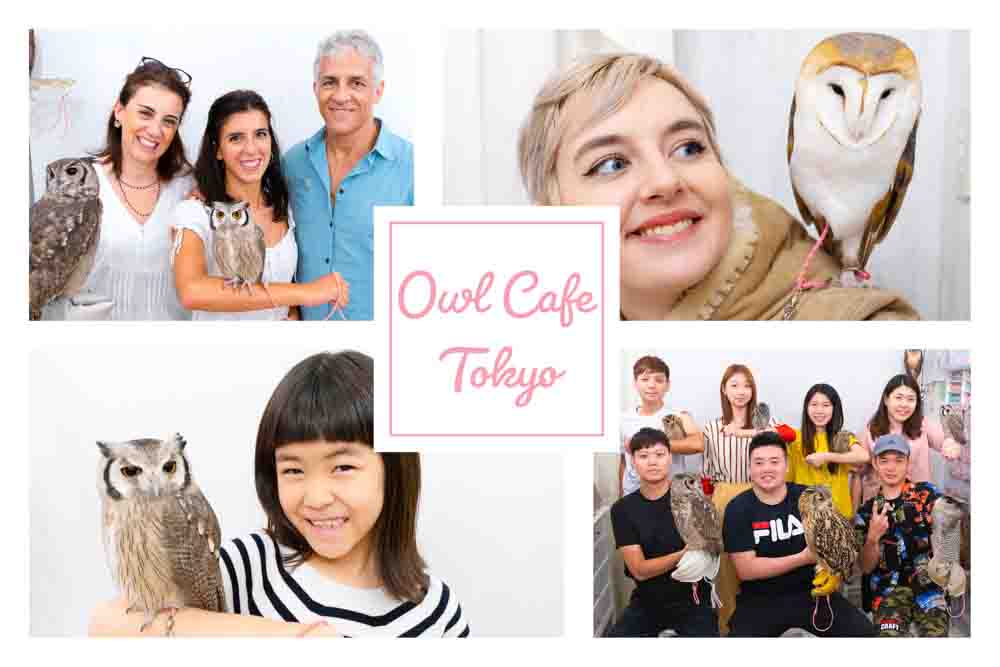 owl cafe tokyo japan
