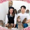 owlcafe japan tokyo