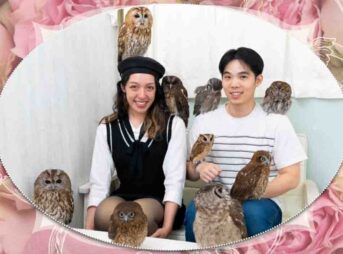 owlcafe japan tokyo