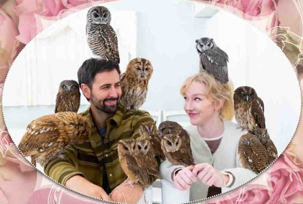 owl cafe japan tokyo