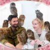 owl cafe japan tokyo