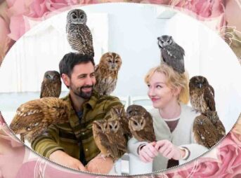 owl cafe japan tokyo