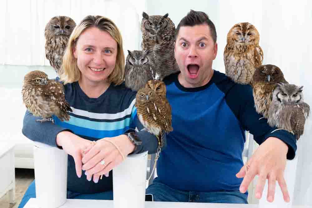 owl cafe japan tokyo