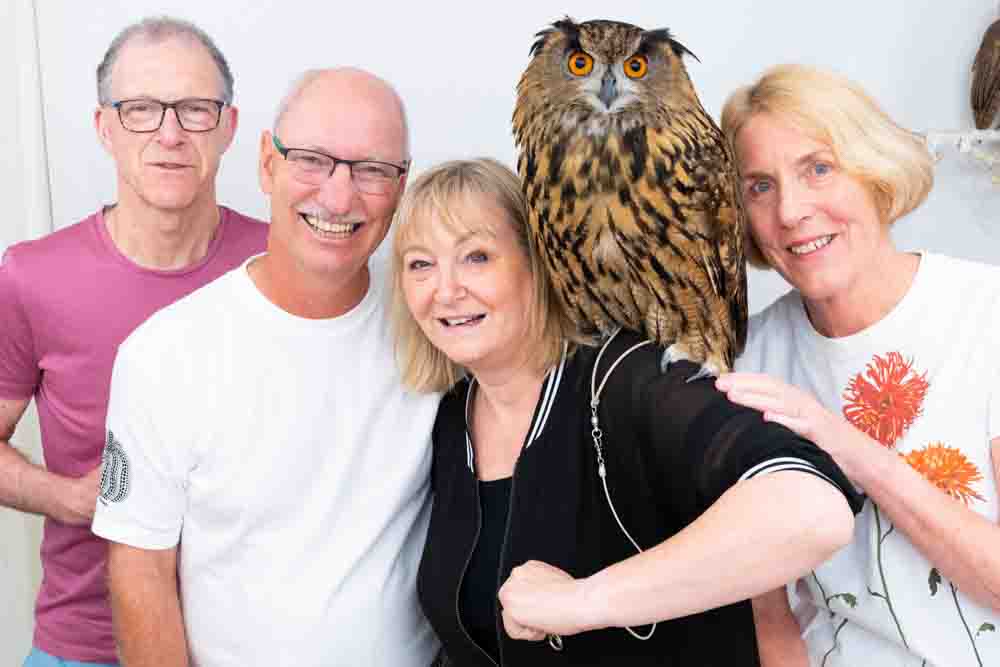 owl cafe japan tokyo