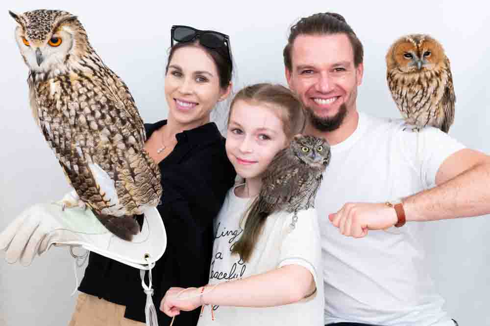 owl cafe japan tokyo