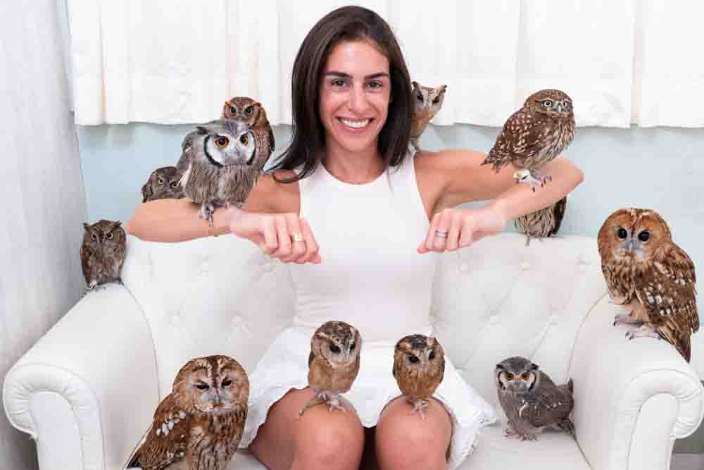 owl cafe japan tokyo