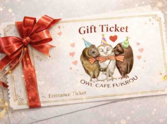 owlcafe_giftticket.jpg