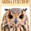 Owl Cafe Guide